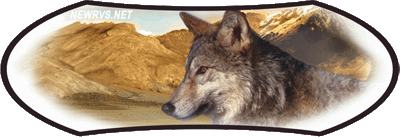 Grey wolf rv logo